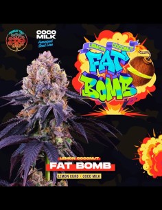 Lemon Coconut Fat Bomb Strain (Perfect Tree) Feminized Seeds