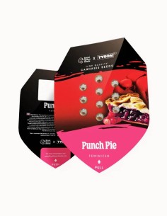 Punch Pie Feminized 🥊 (Royal Queen Seeds x Mike Tyson) 2