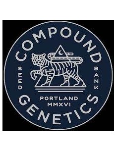 Jet Puft Strain (Compound Genetics) Feminized Seeds 2