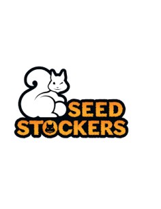 BCN Critical XXL Auto 2