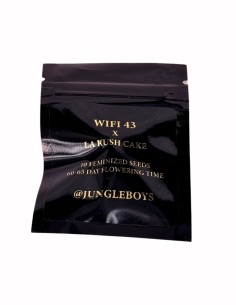 Wifi 43 x L.A. Kush Cake (Jungle Boys Seeds) Citrus Flavor