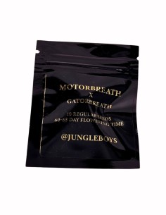 Motorbreath x Gatorbreath (Jungle Boys) Regular Seeds