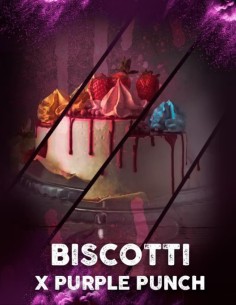 Biscotti x Purple Punch Feminized (Tramuntana Seeds)