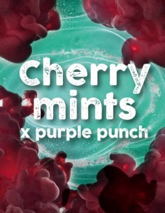 Cherry Mints x Purple Punch Feminized (Tramuntana Seeds)