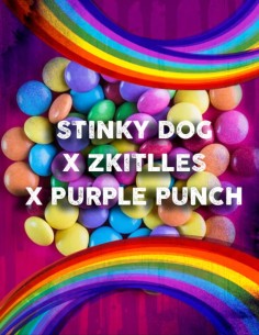 Stinky Dog x Zkittles x Purple Punch femminizzata (Tramuntana Seeds)