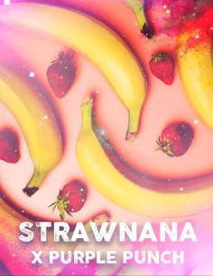 Strawnana x Purple Punch Feminized (Tramuntana Seeds)