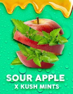 Apple Mints Feminized (Tramuntana Seeds) High Yields