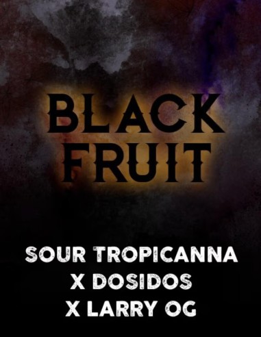 Black Fruit Féminisée (Tramuntana Seeds) Puissante et savoureuse