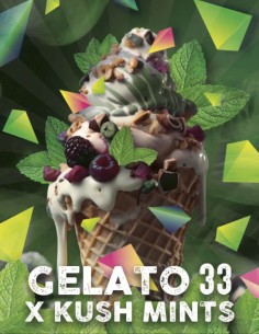 Gelato Mints Feminized (Tramuntana Seeds) Potent & Flavorful