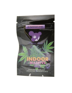 Indoor Massive Mix (Anesia Seeds) Feminized Seeds | On Sale!