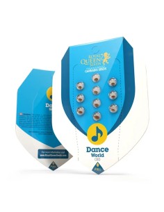 Dance World CBD (Royal Queen Seeds) Feminized Seeds 2