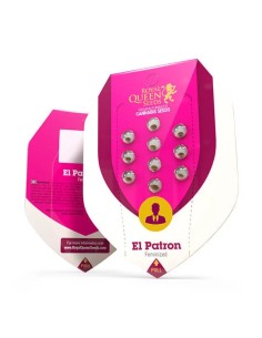 El Patron (Royal Queen Seeds) Feminized Seeds | On Sale! 2