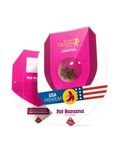 Fat Banana (Royal Queen Seeds) Feminized Seeds | On Sale! 2