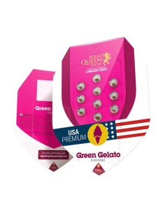 Green Gelato (Royal Queen Seeds) Semi Femminizzati 2