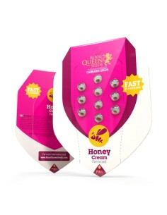 Honey Cream Fast Flowering (Royal Queen Seeds) Feminized 2