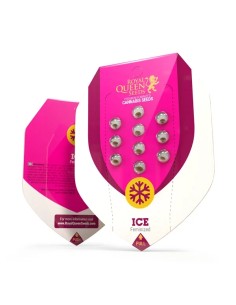 Ice (Royal Queen Seeds) Feminized Seeds | Up To 30% Off 2