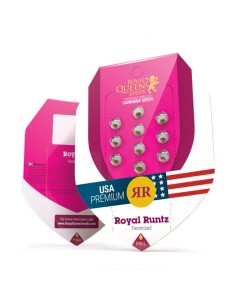 Royal Runtz (Royal Queen Seeds) Feminized Seeds | On Sale! 2