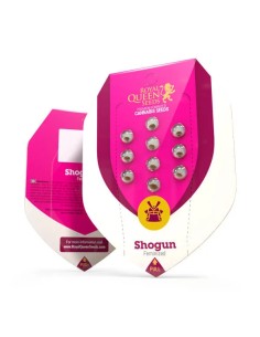 Shogun (Royal Queen Seeds) Feminized Seeds | Up To 30% Off 2