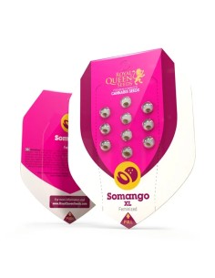 Somango XL (Royal Queen Seeds) Feminized Seeds | On Sale! 2
