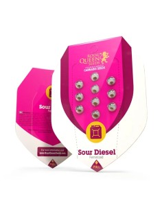 Sour Diesel. (Royal Queen Seeds) Feminized Seeds | On Sale! 2