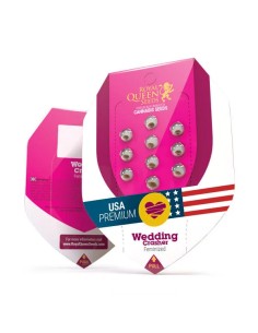 Wedding Crasher (Royal Queen Seeds) Semi Femminizzati 2