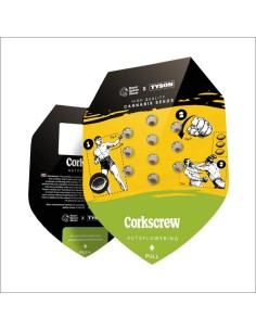 Auto Corkscrew Autoflowering  (Royal Queen Seeds) 2