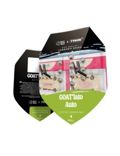 Auto GOAT'lato Autoflowering  (Royal Queen Seeds) 2