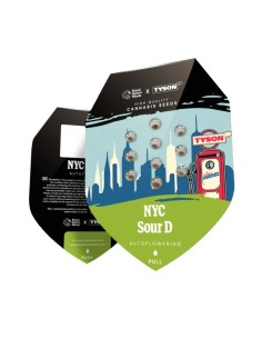 Auto NYC Sour D Autoflowering (Royal Queen Seeds) 2