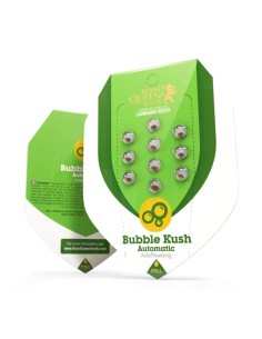 Bubble Kush Automatic (Royal Queen Seeds) Autoflower Seeds 2