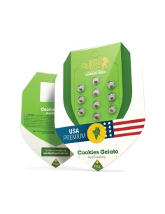 Cookies Gelato Automatic (Royal Queen Seeds) Autoflowering 2