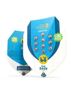 Fast Eddy CBD Auto von Royal Queen Seeds Hanfsamen | Oaseeds 2