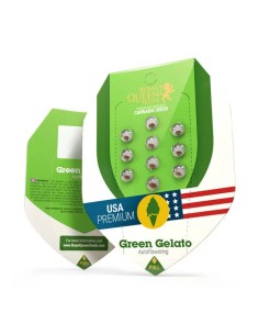Green Gelato Automatic (Royal Queen Seeds) Autoflower Seeds 2