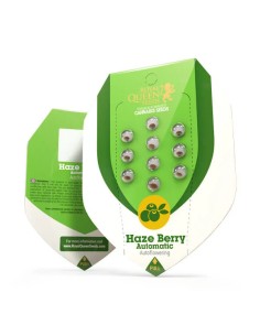 Haze Berry Automatic (Royal Queen Seeds) Autoflowering Seeds 2