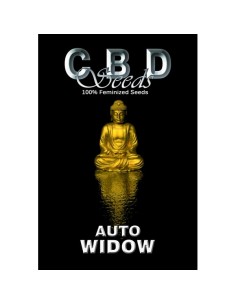 Auto Widow