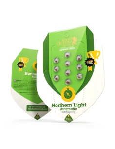 Northern Light Automatic (Royal Queen Seeds) Autoflowering 2