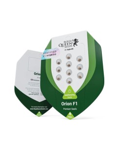 Orion F1 Strain (Royal Queen Seeds) – Schnell & Ertragreich 2