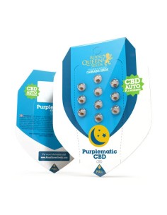 Acheter Purplematic CBD de Royal Queen Seeds - Oaseeds 2