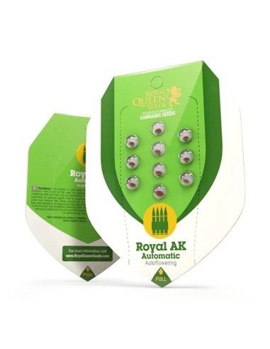 Royal AK Automatic (Royal Queen Seeds) Graines Autofloraison