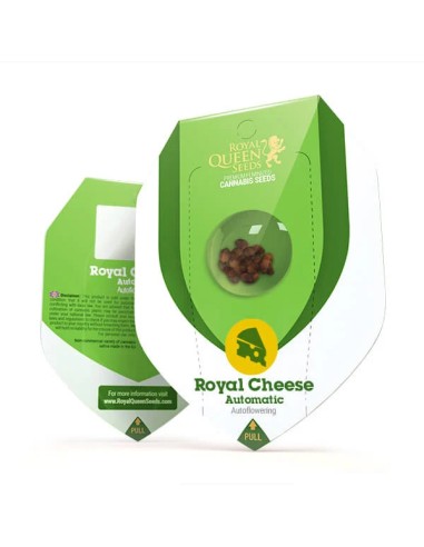 Royal Cheese Automatic von Royal Queen Seeds Hanfsamen | Oaseeds