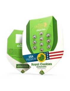 Royal Cookies Automatic (Royal Queen Seeds) Autoflower Seeds 2