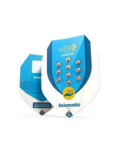 Acheter Solomatic CBD Auto de Royal Queen Seeds - Oaseeds 2