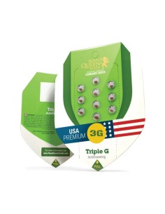 Triple G Automatic (Royal Queen Seeds) Autoflowering Seeds 2