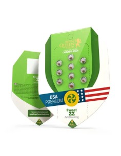 Sweet ZZ Automatic (Royal Queen Seeds) Autoflowering Seeds 2