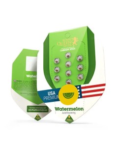 Watermelon Automatic (Royal Queen Seeds) Autoflowering Seeds 2