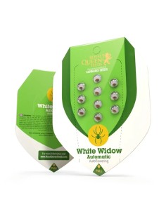 White Widow Automatic (Royal Queen Seeds) Semi Autofiorenti 2