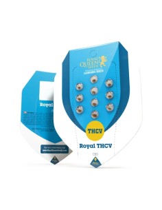 Royal THCV (Royal Queen Seeds) CBD Seeds | Up To 30% Off 2
