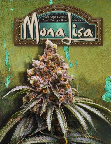 Mona Lisa Strain (T.H. Seeds) 🍏 Exquisite Flavor