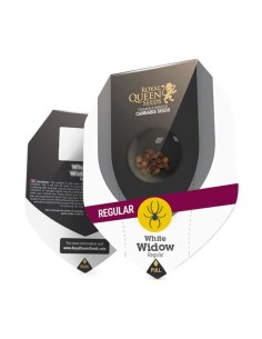 White Widow Regular (Royal Queen Seeds) Semi Regolari 2