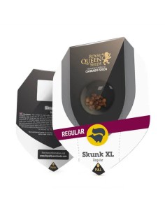 Skunk XL Regular (Royal Queen Seeds) Regular Cannabis Seeds 2