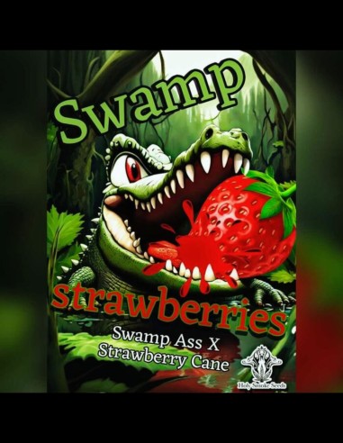 Swamp Strawberries Strain (Holy Smoke Seeds) 🍓Féminisée